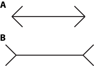Muller-Lyer-illusion_variation (1)